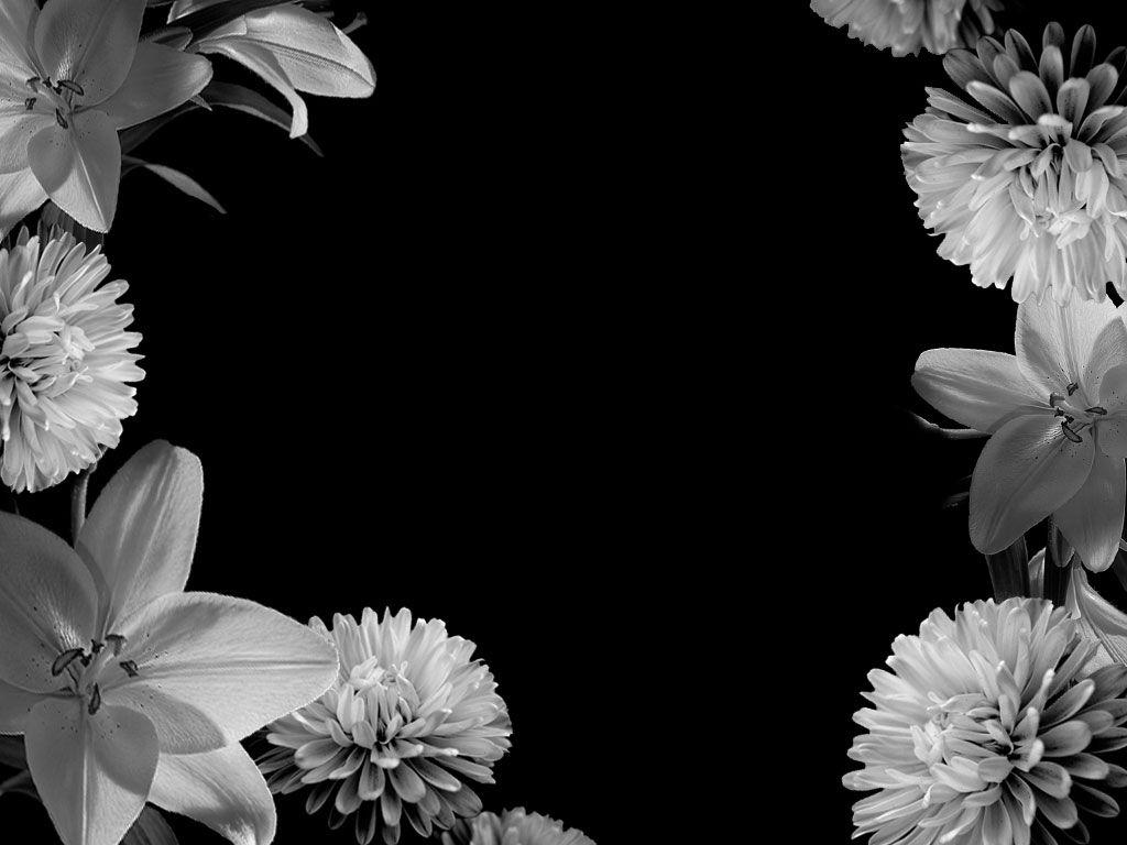 Black And White Flower Wallpaper Borders 13427 Full HD Wallpaper