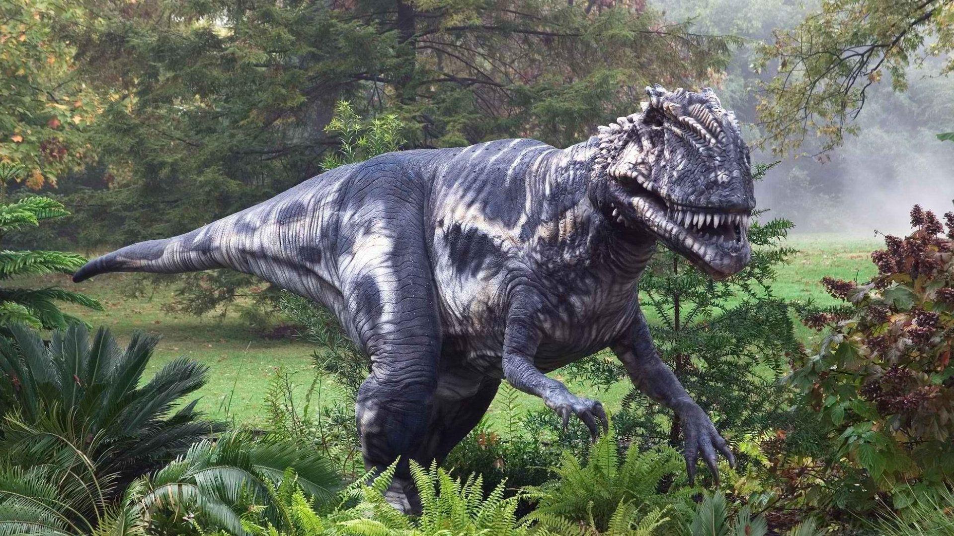 Tyrannosaurus Rex Computer Wallpaper, Desktop Background