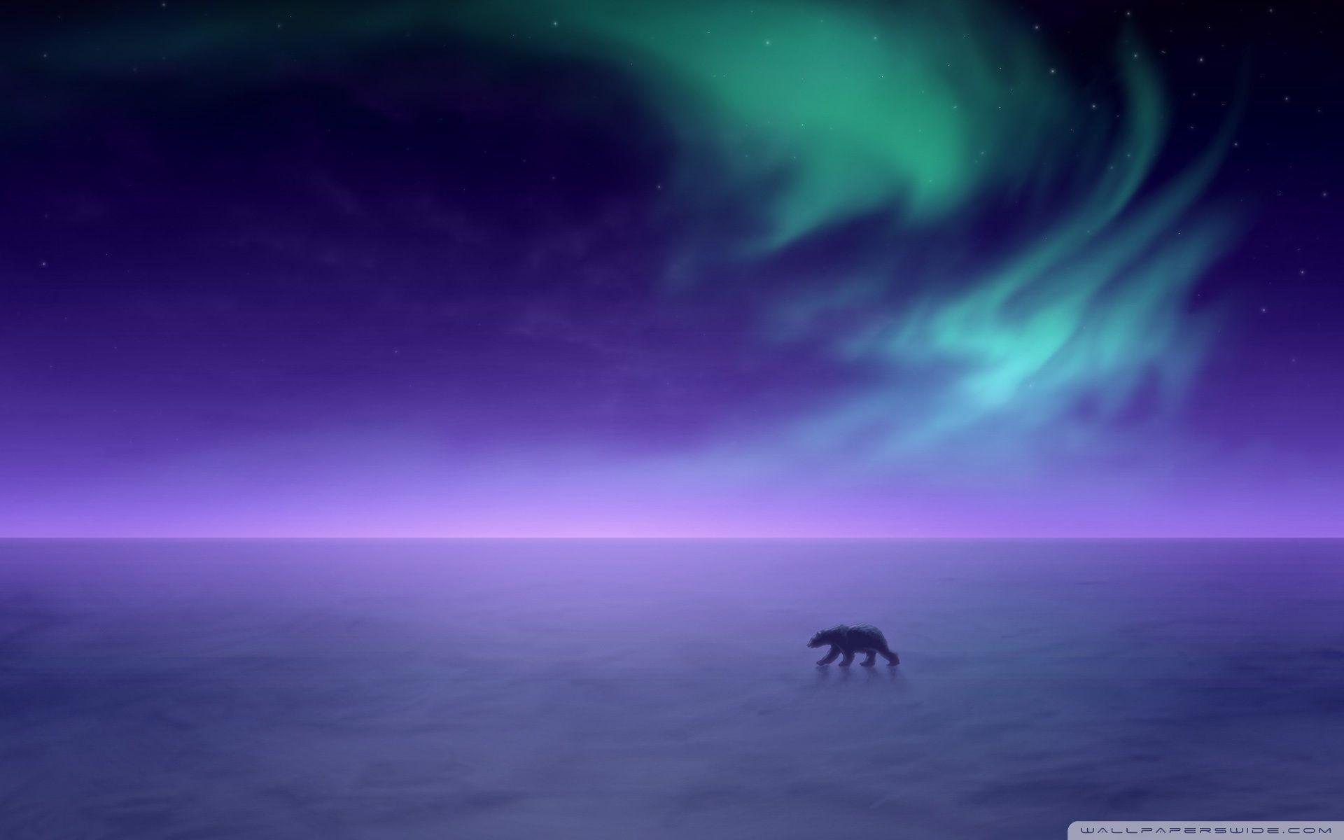 Purple Northern Lights Picture Wallpaper HD