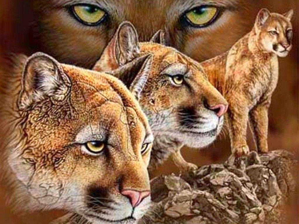 Big Cats Cat Wallpaper. Drawing and Coloring for Kids