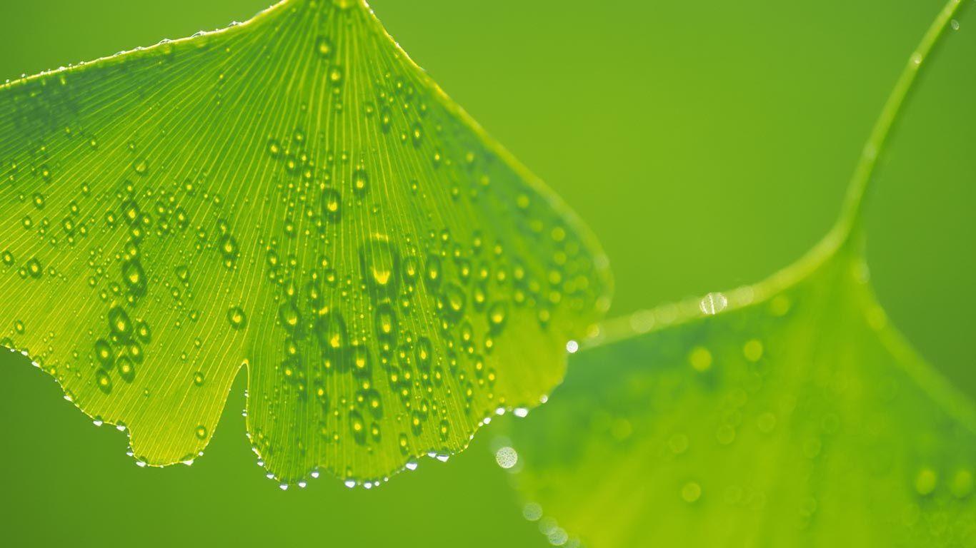 Laptop Background Download Free Computer Widescreen