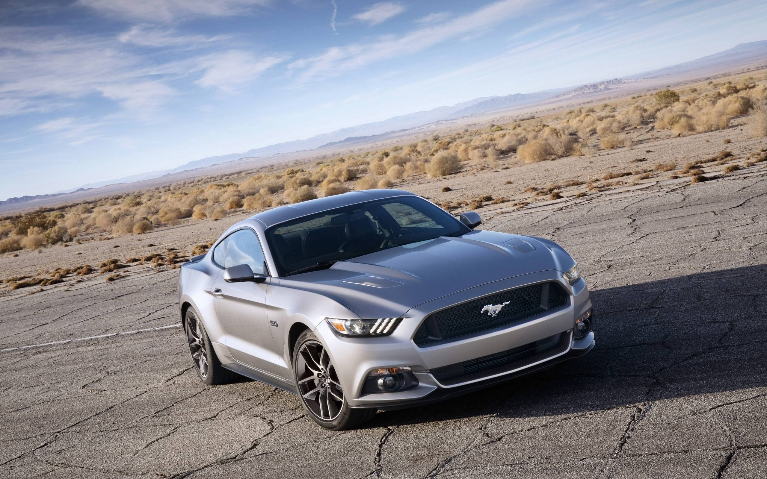 Ford Mustang Car Wallpaper 2560x1600 px ID 53
