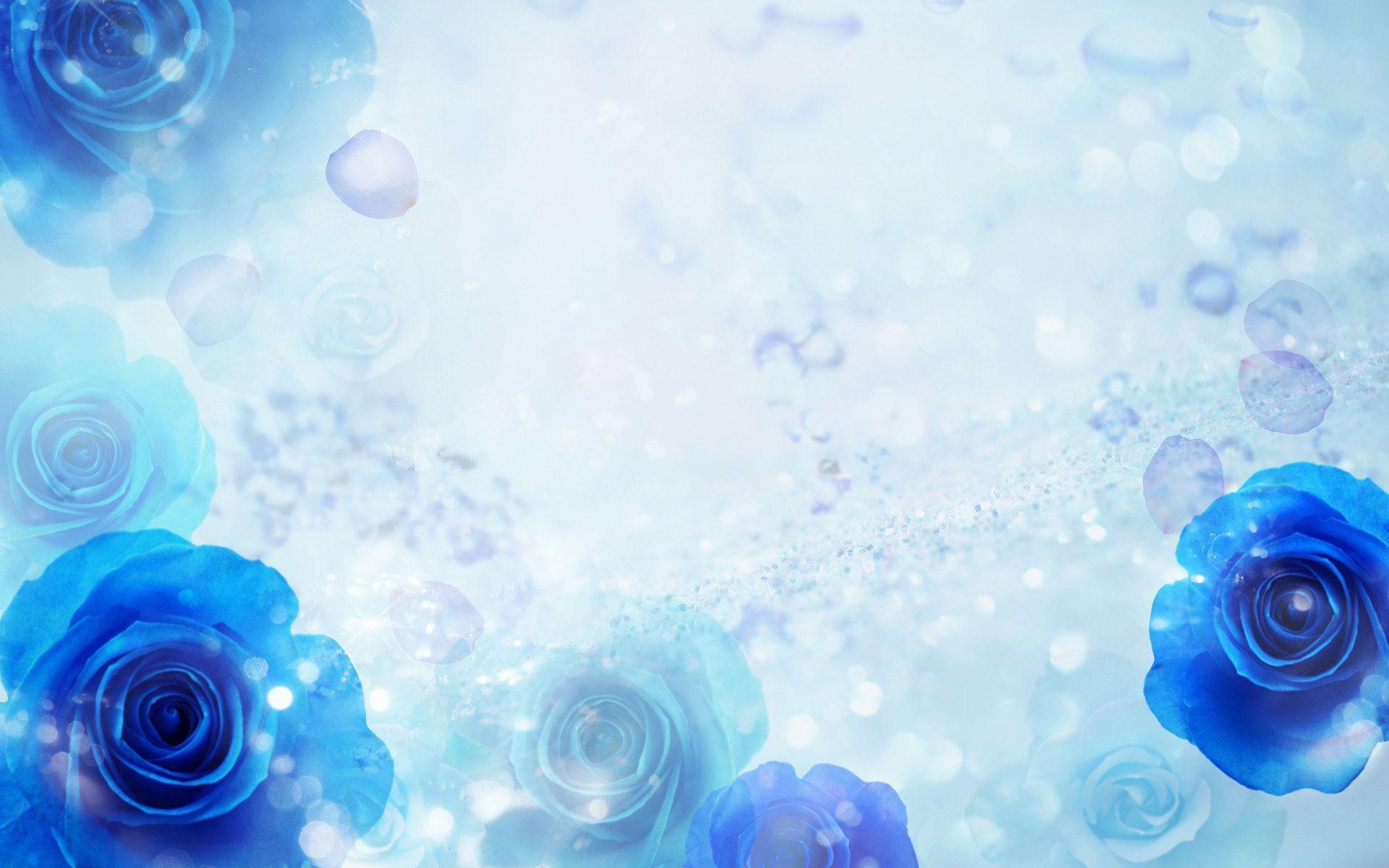 Blue Rose Background HD wallpaper