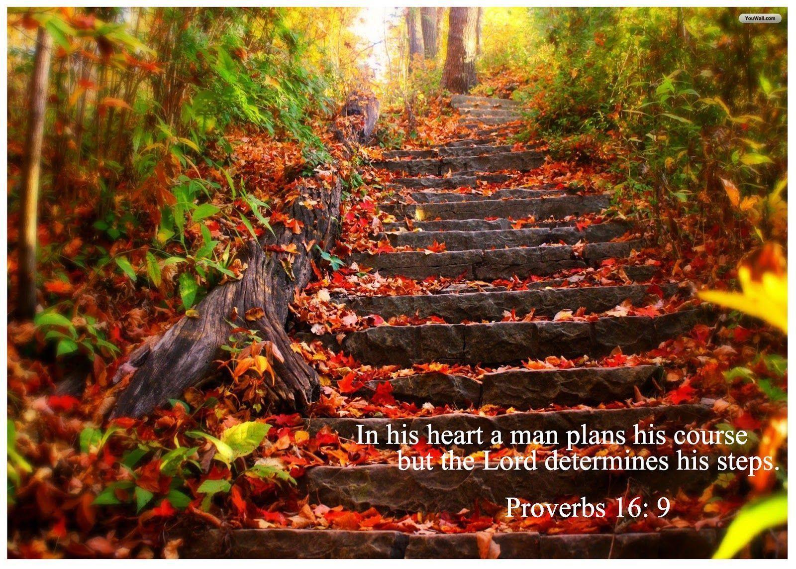 Book of Proverbs Wallpaper (3). This Is Me