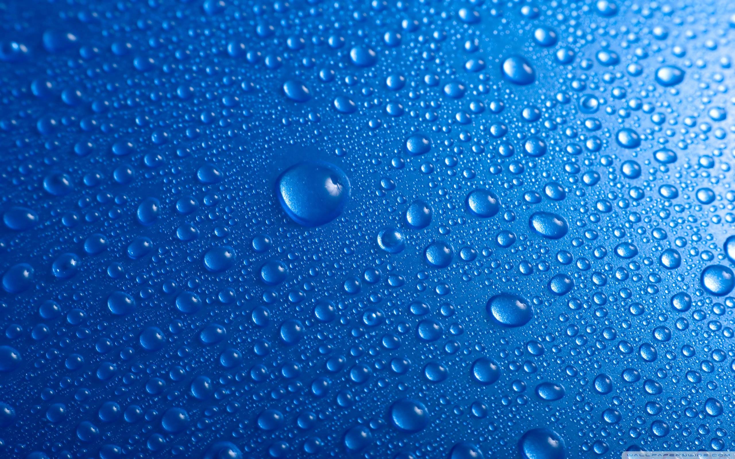 Water Drop Wallpaper