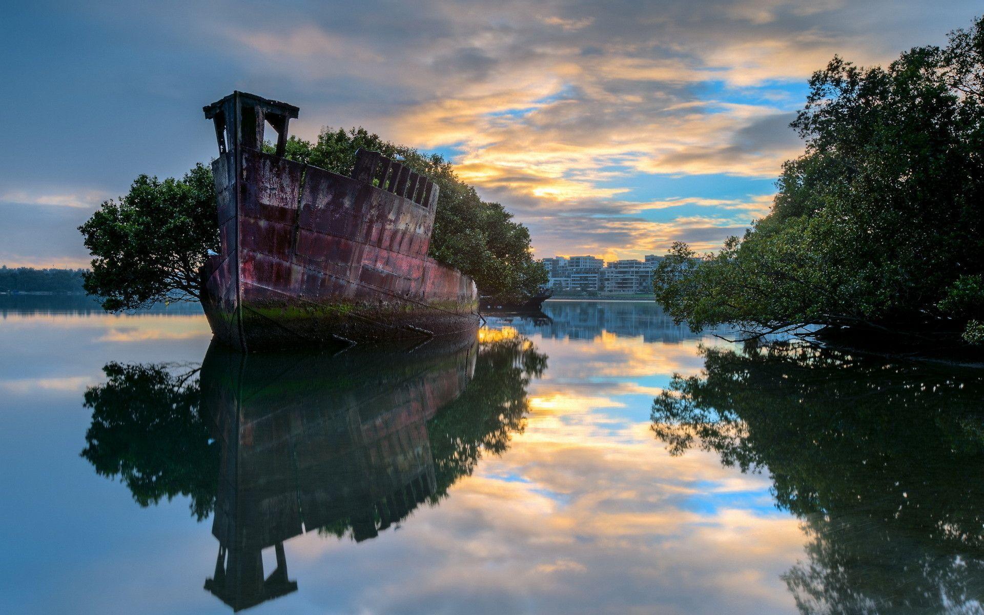 HD Shipwreck Trees On Sunset Waters Wallpaper