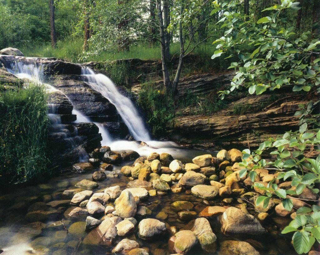 Welcome to the Homepage of Sofnet Internet Services