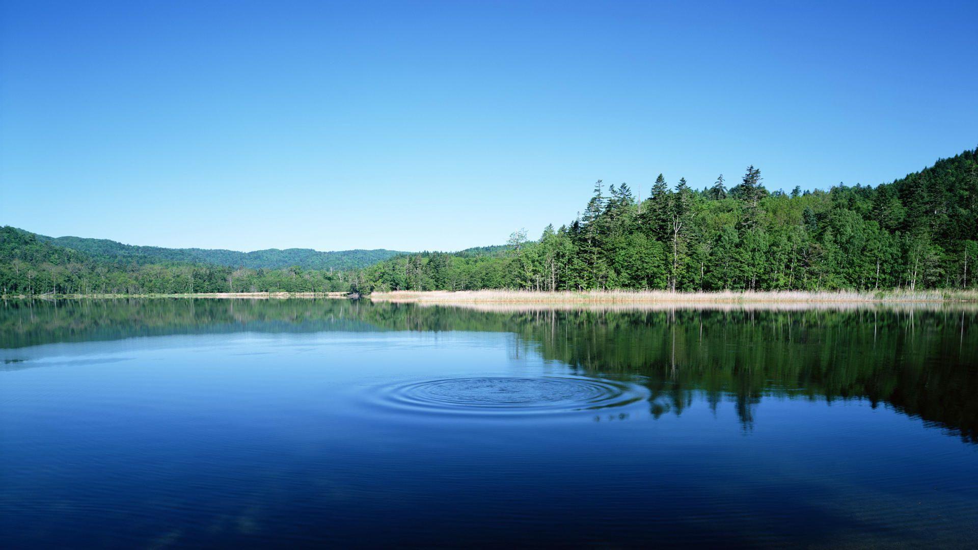 Wallpaper For Desktop Nature