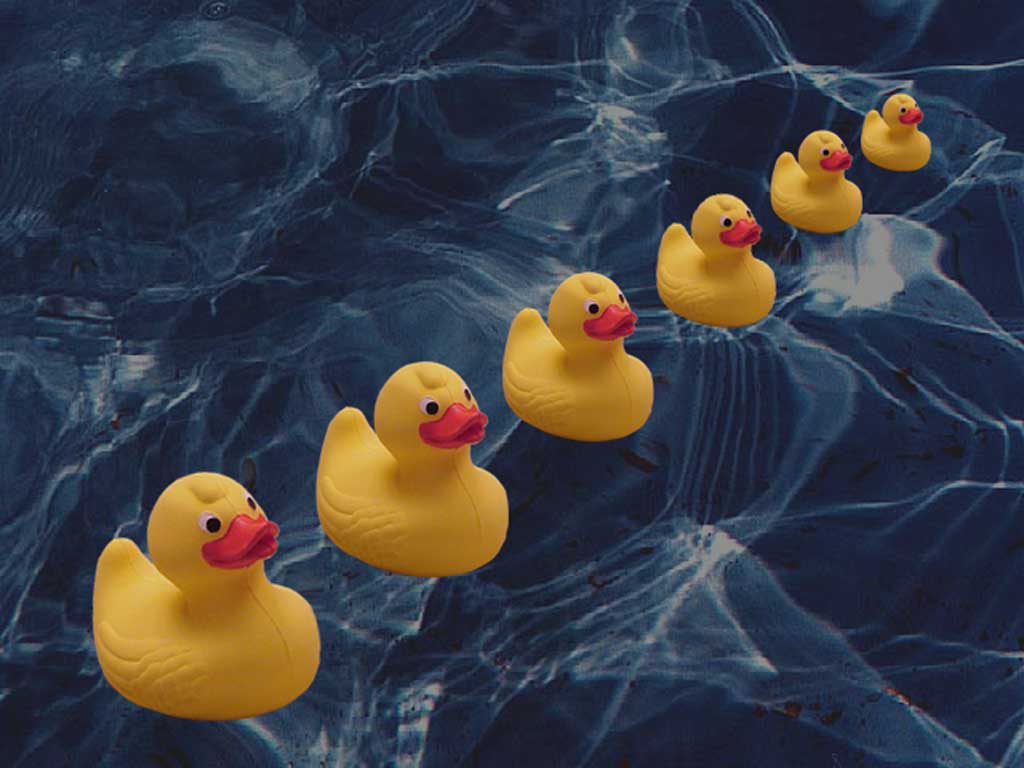 image For > Rubber Duck Background