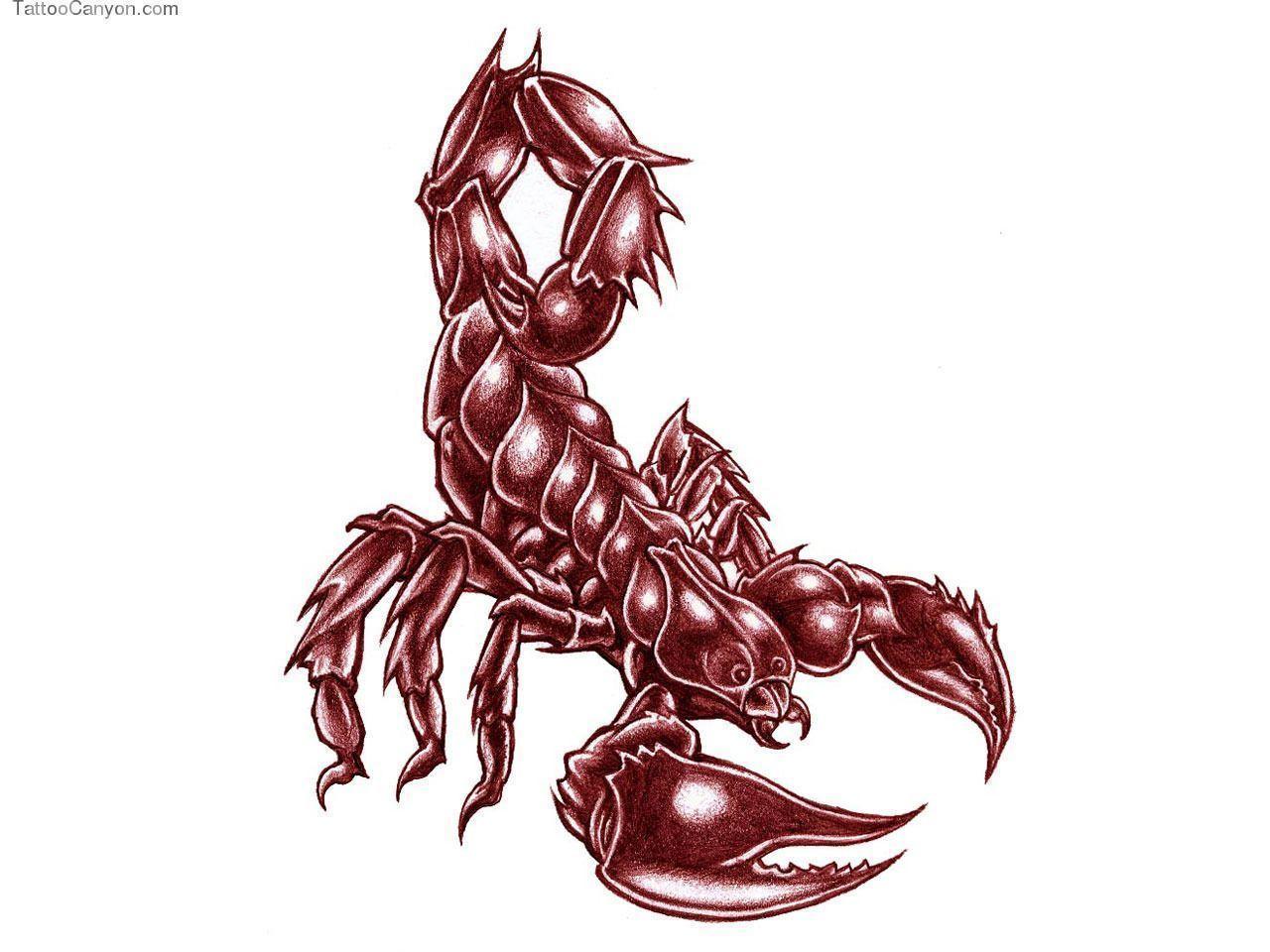 Free Designs Big Bold Scorpion Tattoo Wallpaper Picture #