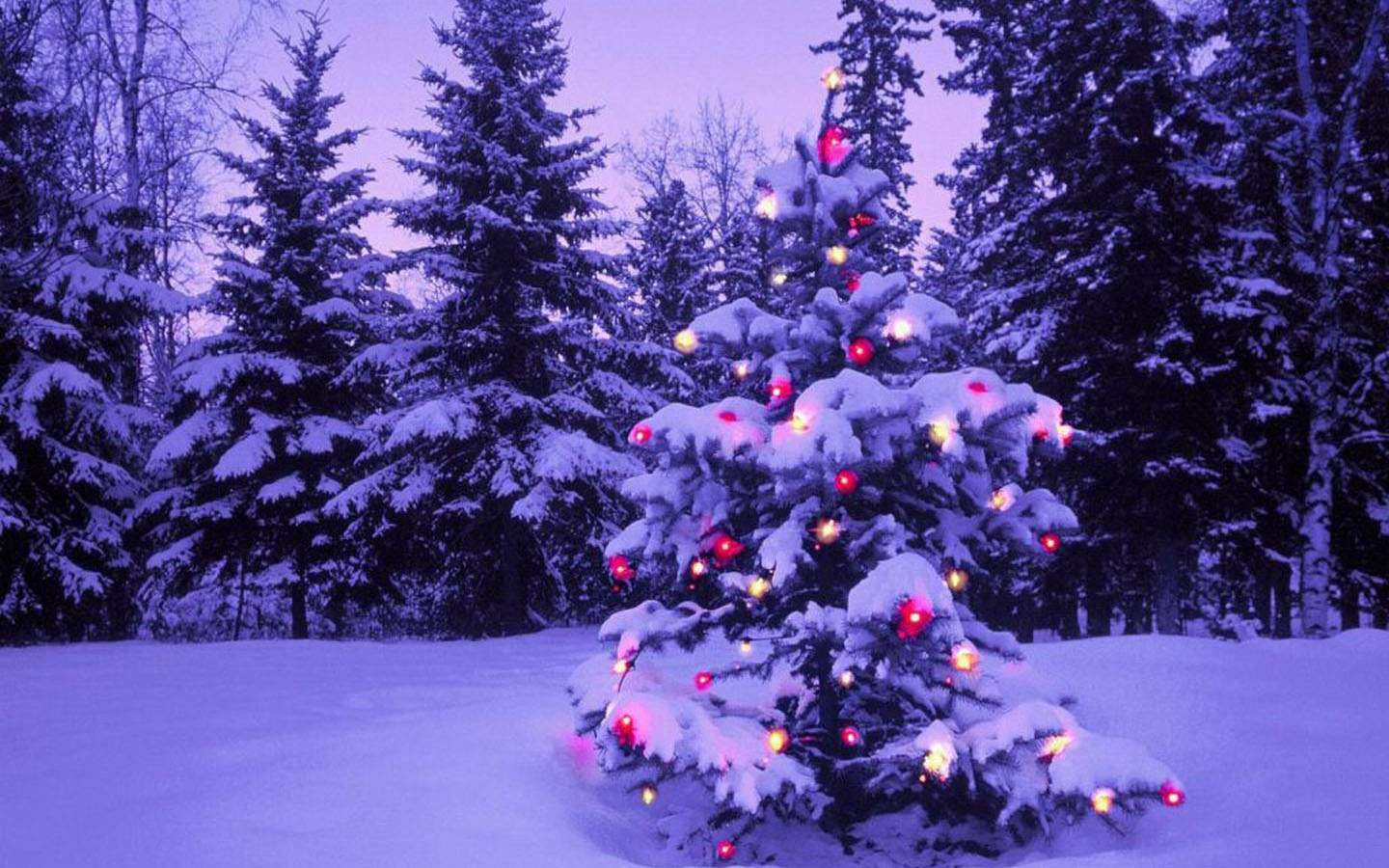 Terrific Christmas Shack in Woods Desktop Wallpaper 1024x576PX