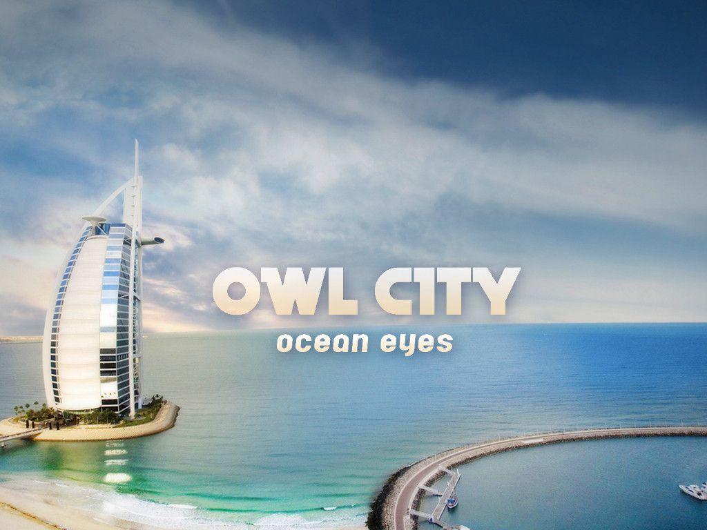 Pin Owl City