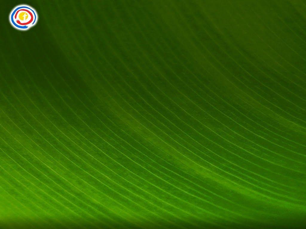 Holy Mass image.: Papal Visit Philippines Song Lyrics