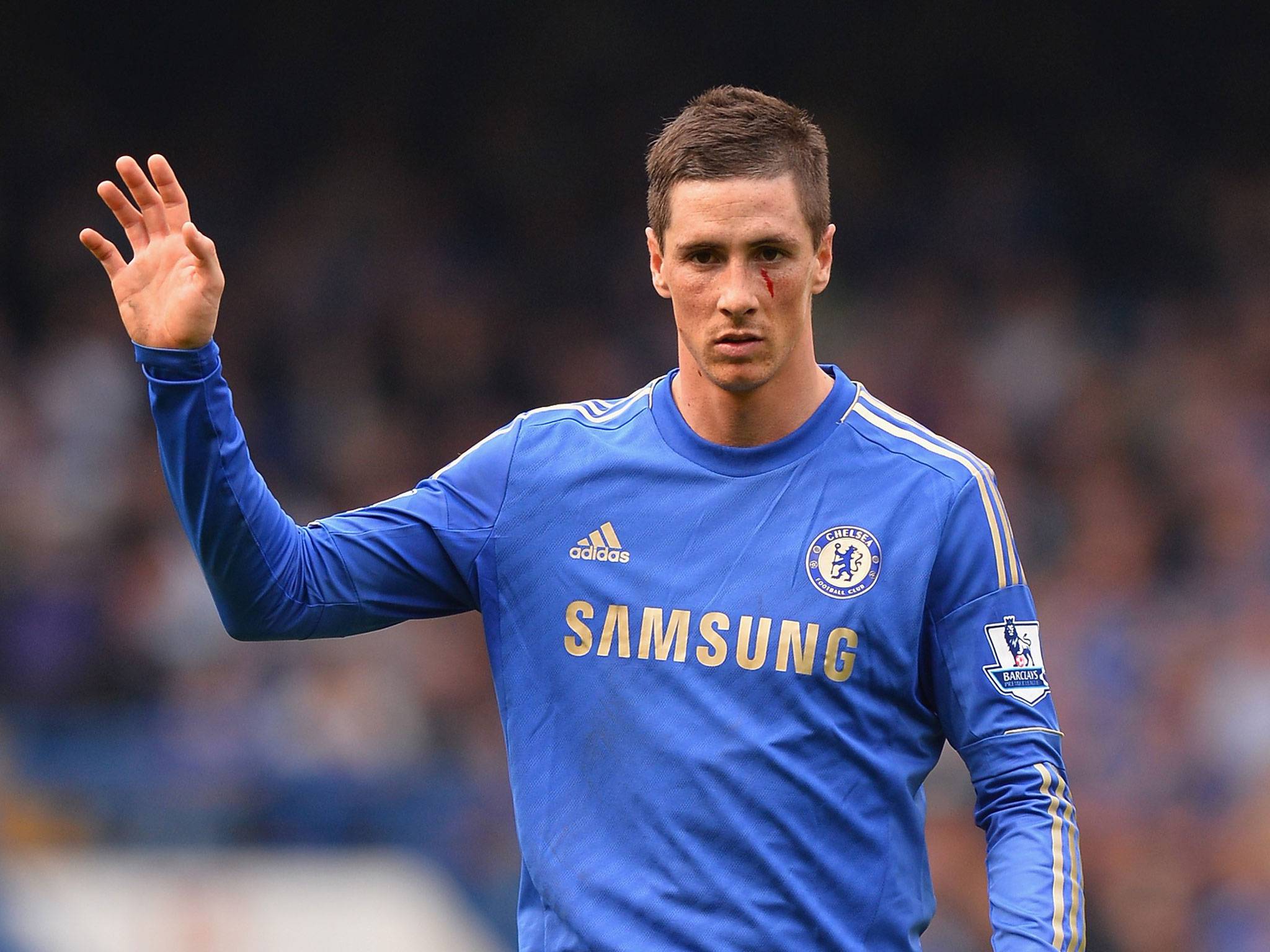 Fernando Torres 2014