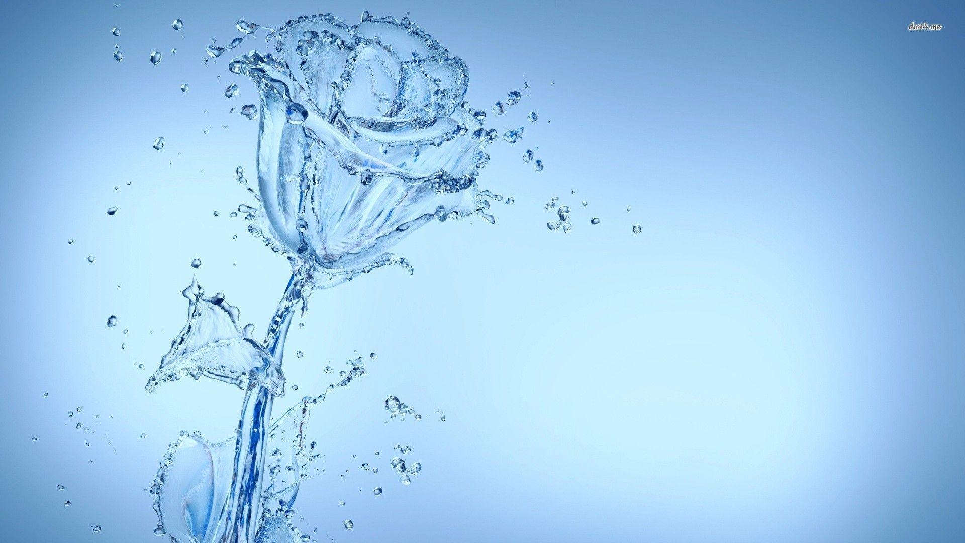 Water Rose Blue Wallpaper For Phones Free
