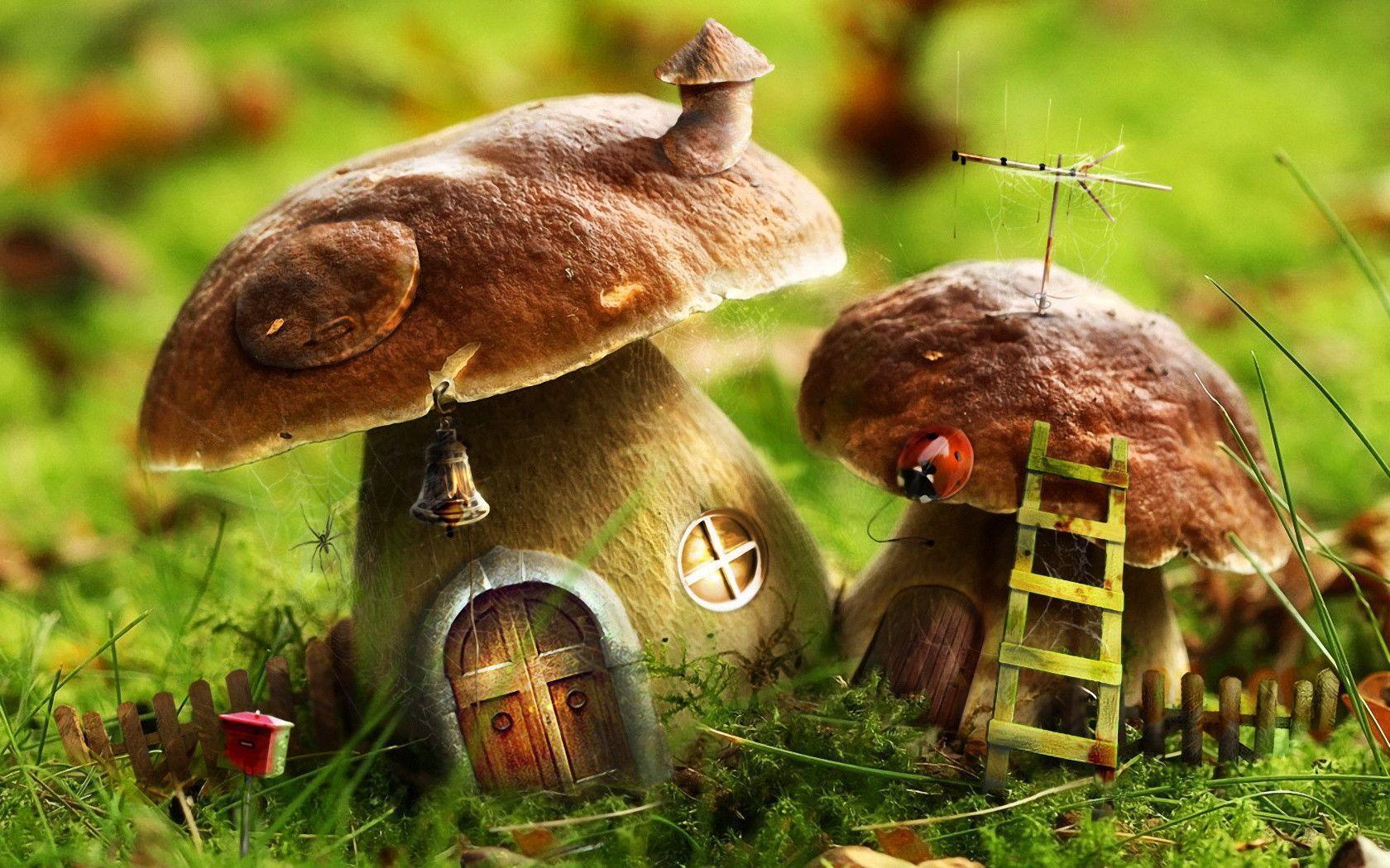3D Mushroom Wallpaper. Piccry.com: Picture Idea Gallery