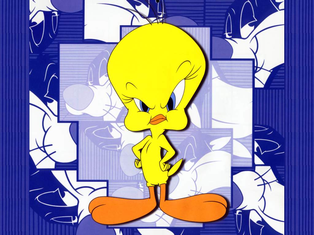 Tweety Bird Wallpaper  Download to your mobile from PHONEKY