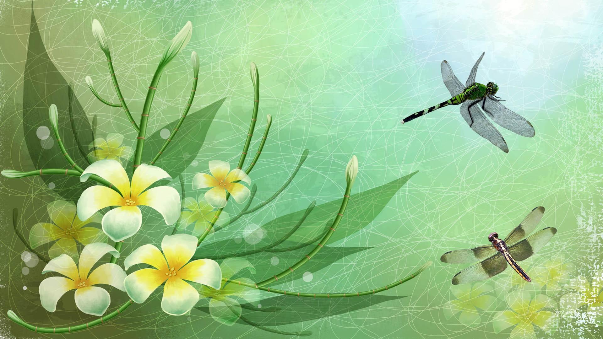 Dragonflies HD Desktop Wallpaper for Widescreen, High Definition