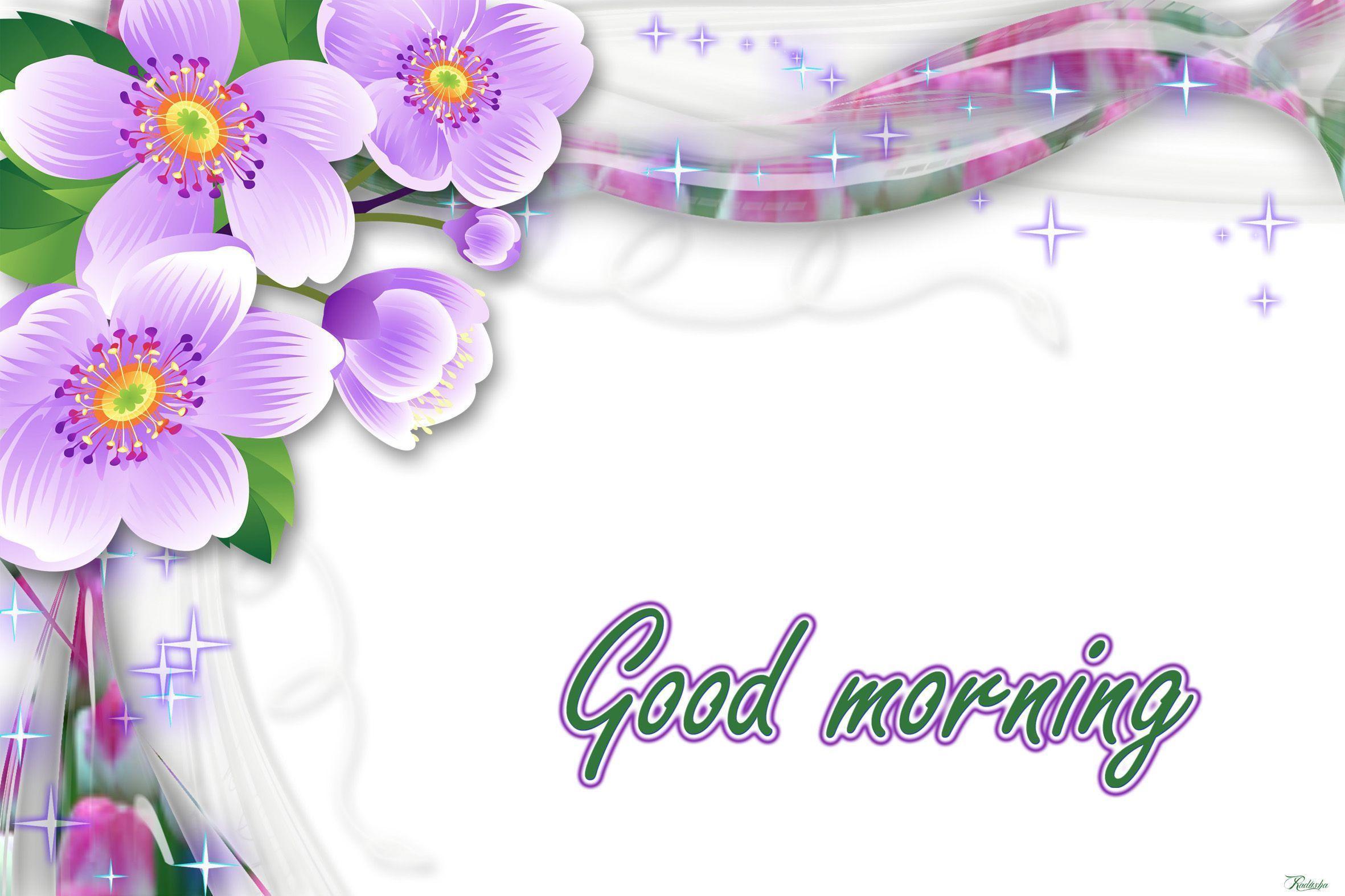 Good Morning Wallpaper & Picture