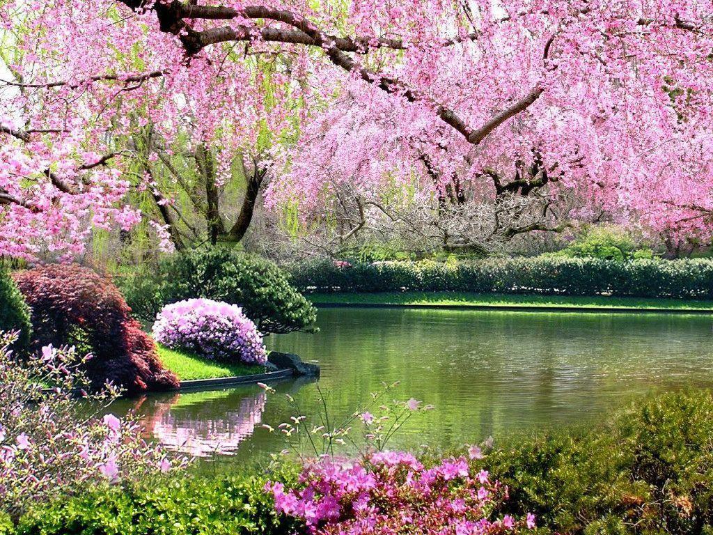 P Wallpaper HD Category Space Wallpaper, Springtime