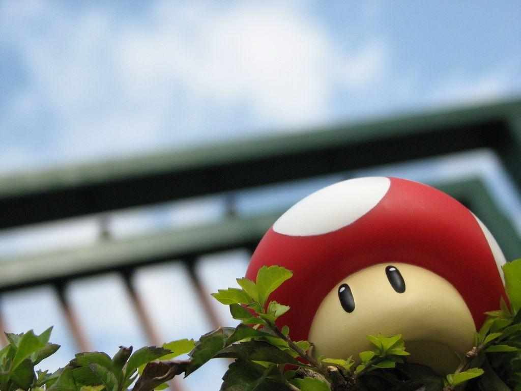 Mario Mushroom Wallpaper. loopele