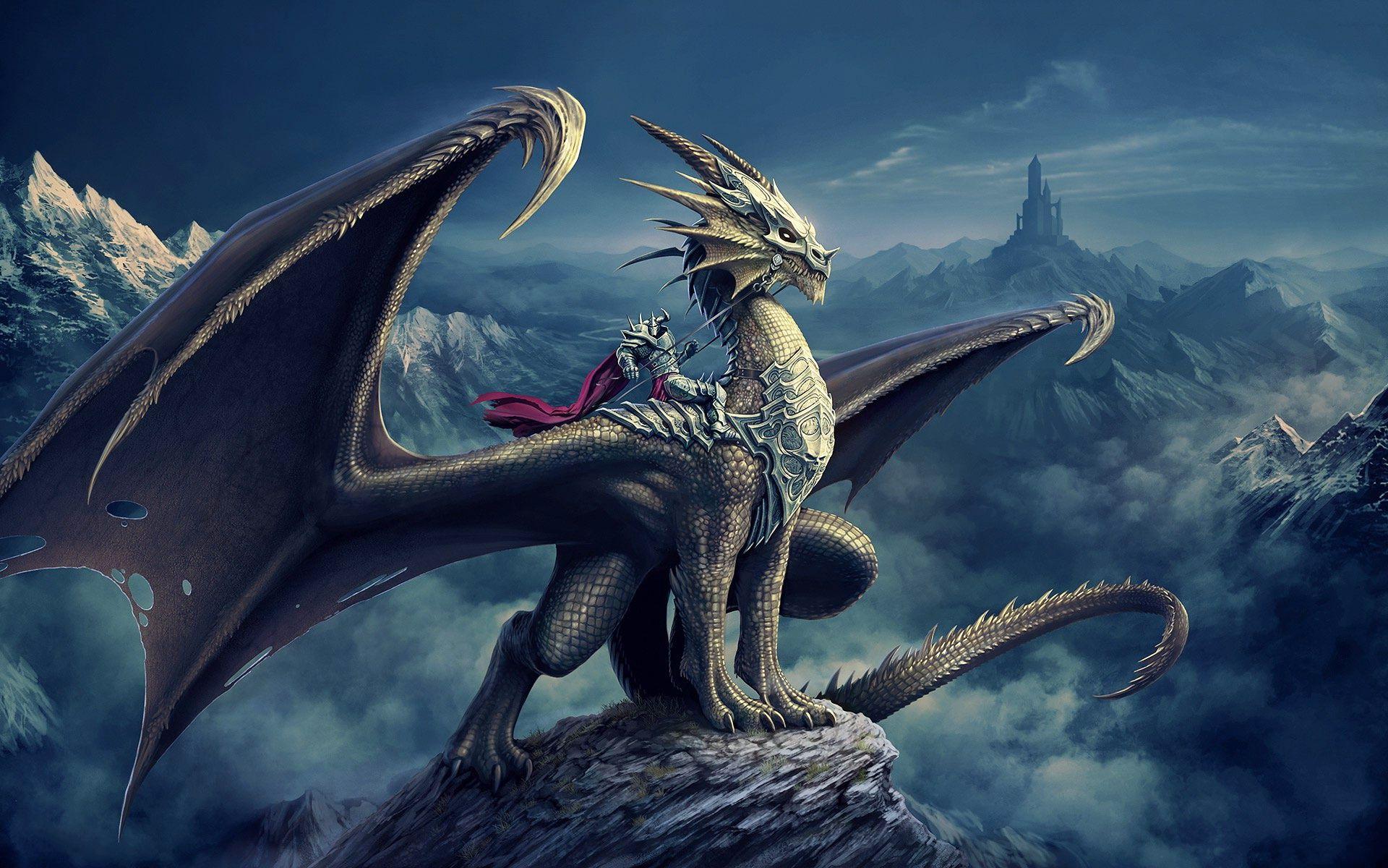 3D Dragon Knight Fantasy Wallpapers Wallpapers