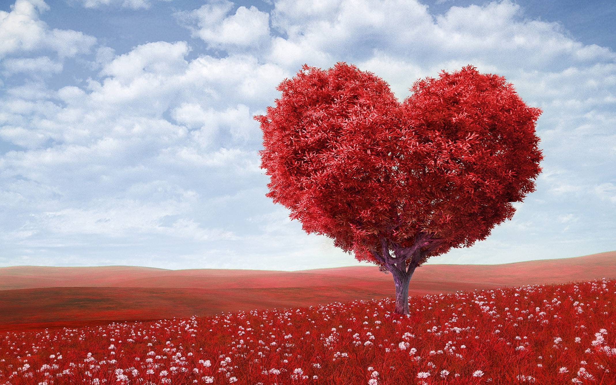 Love Computer Wallpaper 11199 2138x1337 px