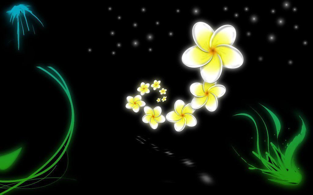 frangipani wallpaper