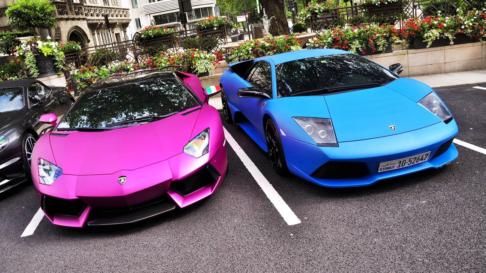 Pink And Blue Lamborghinis Parked Cars HD wallpaper #