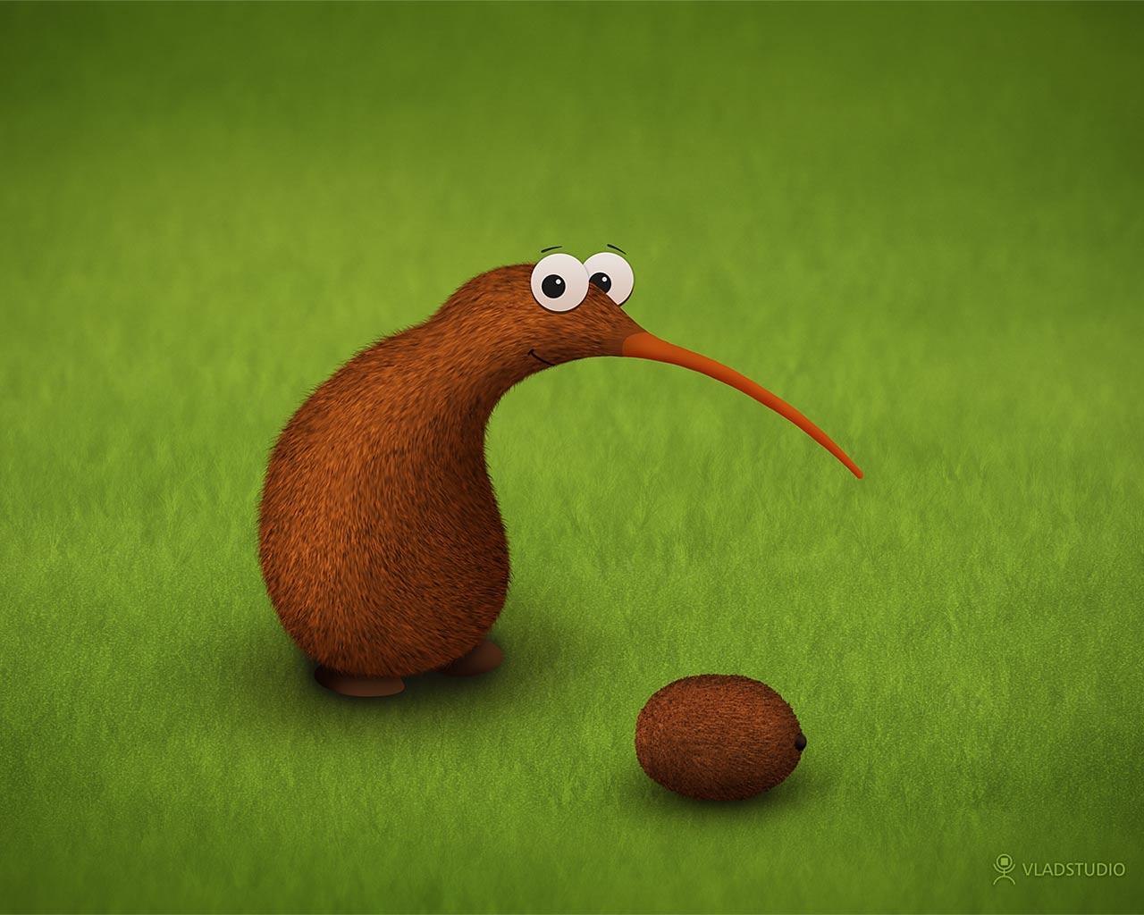 Kiwi Kiwi Wallpaper