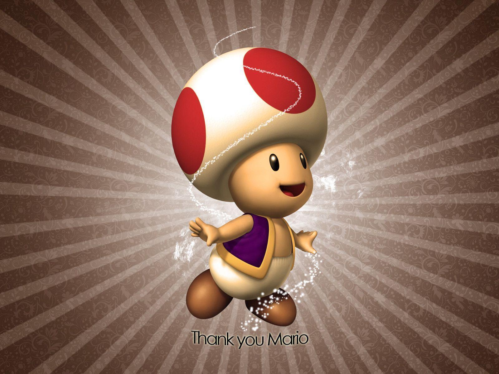 Wallpaper: Toad da las gracias Mario y Dibujos