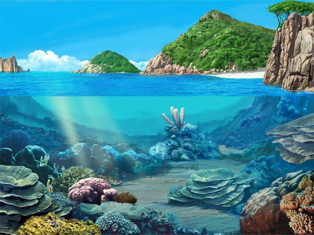 marine life wallpaper picture, image