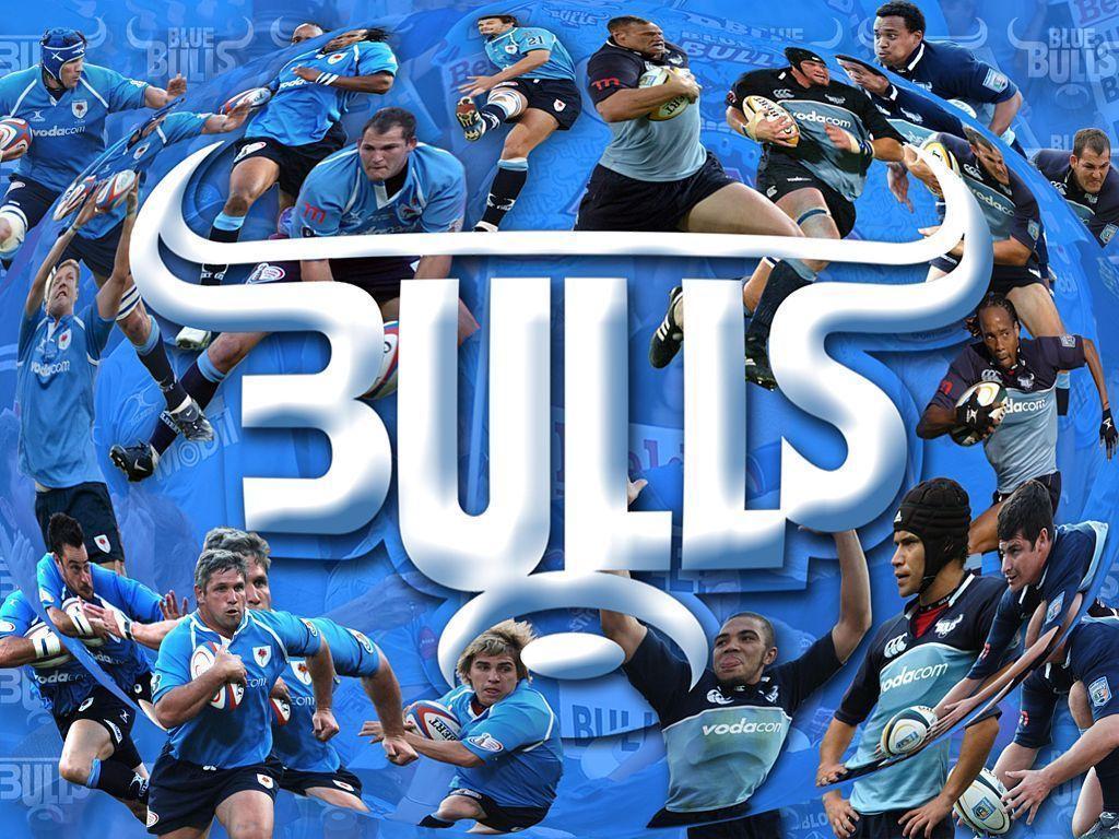 Wallpaper Blue Bulls Logo Wallpaper Blue Bulls Logo