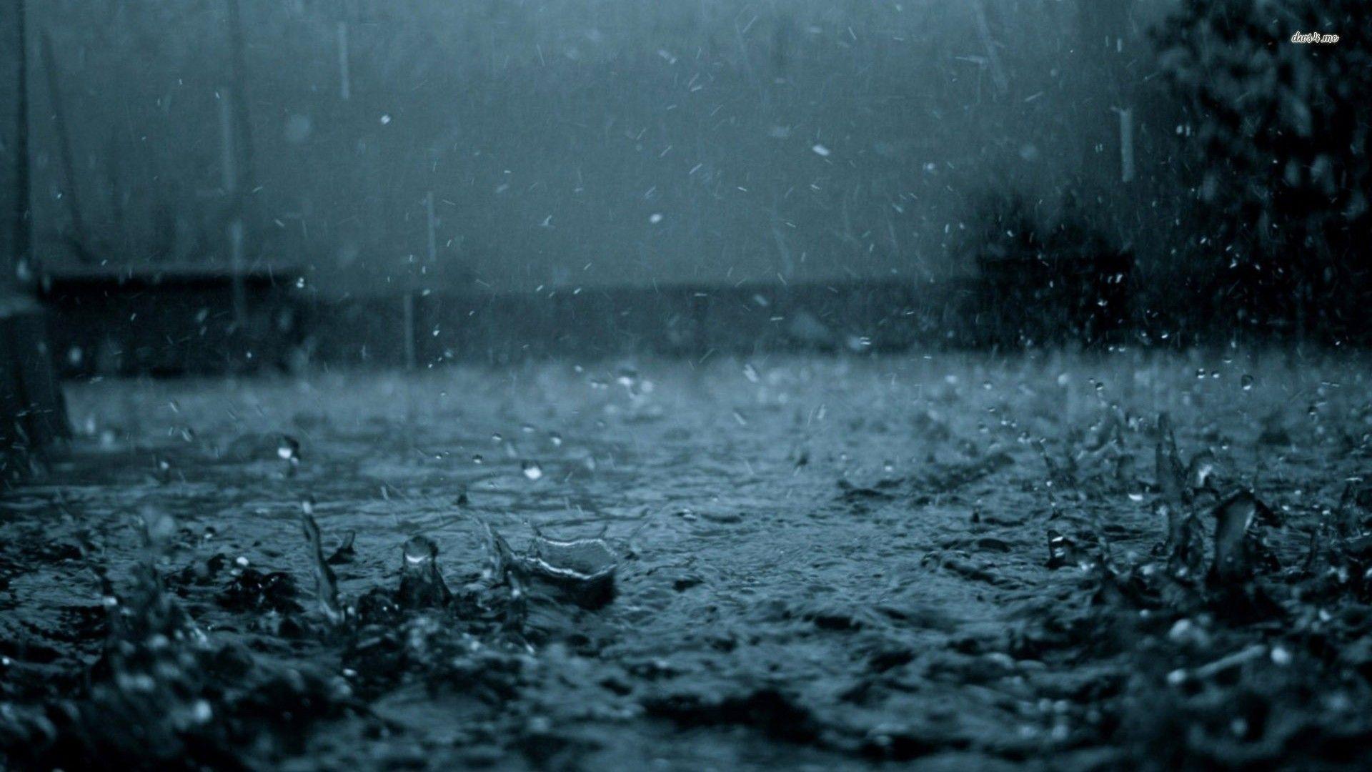 Rain wallpaper wallpaper - #