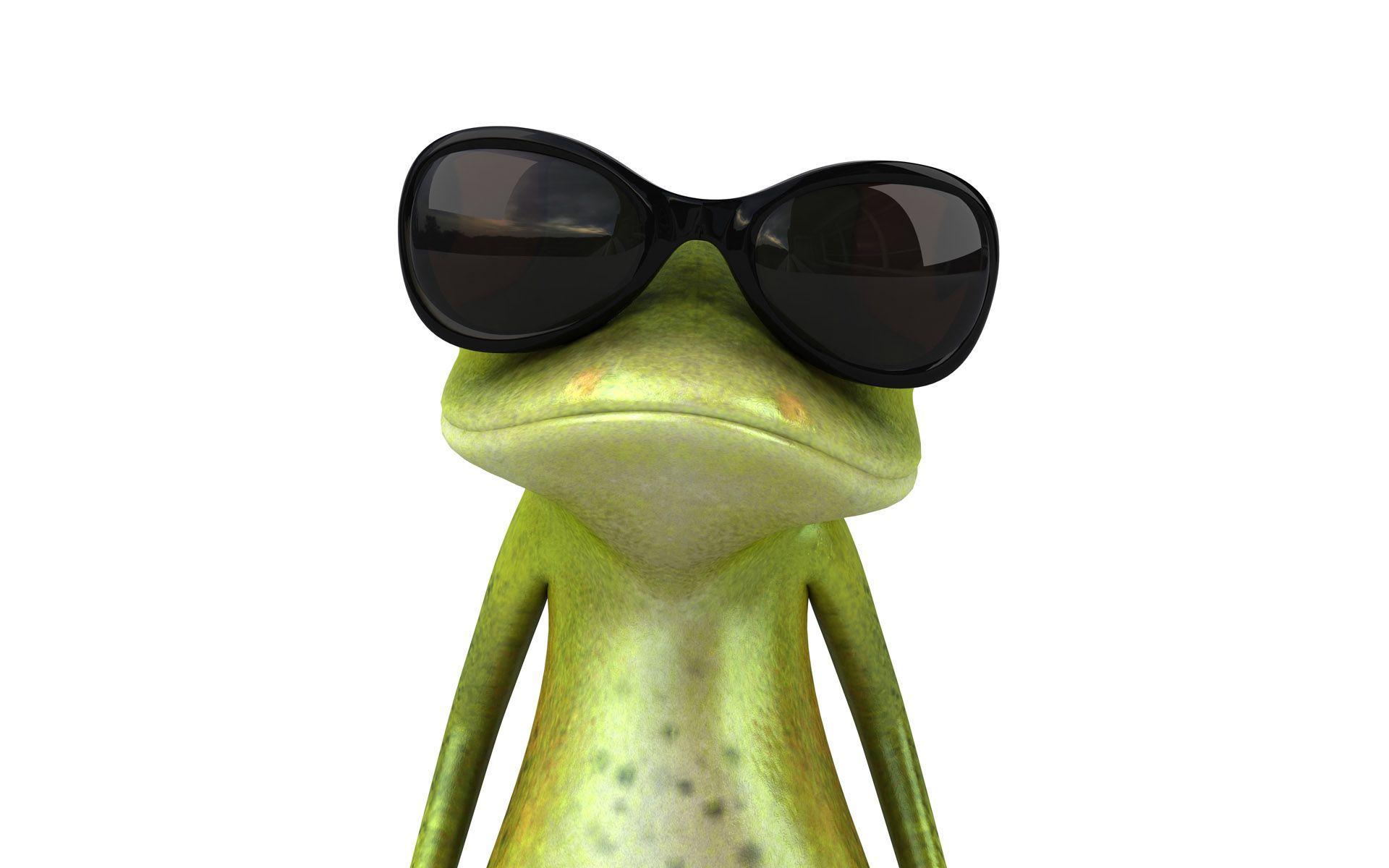 Free frog 3D wallpaper for desktop Wallpaper Wallpaper 81224