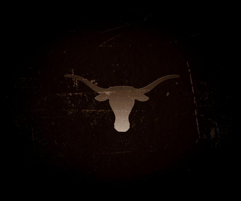 Longhorn Cattle Fabric Wallpaper and Home Decor  Spoonflower