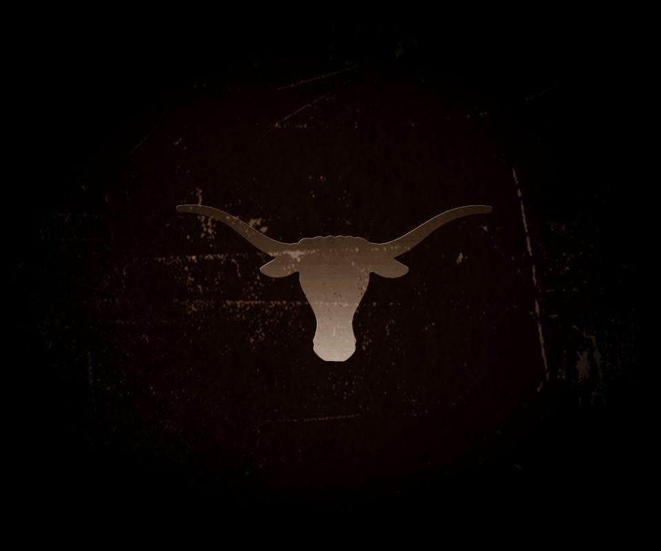 Longhorn Cattle Fabric Wallpaper and Home Decor  Spoonflower