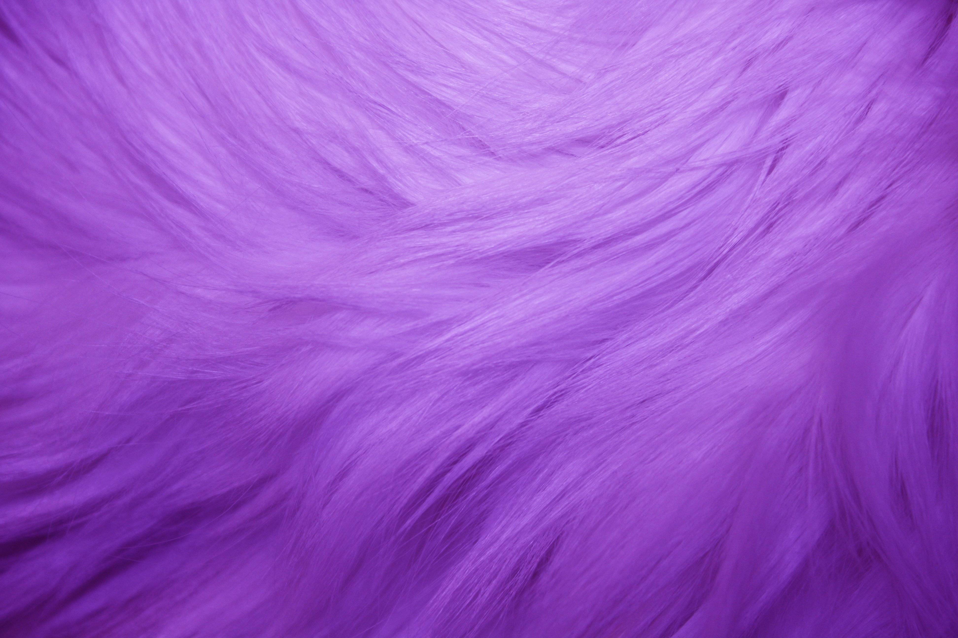Purple Fur Texture Picture. Free Photograph. Photo Public Domain