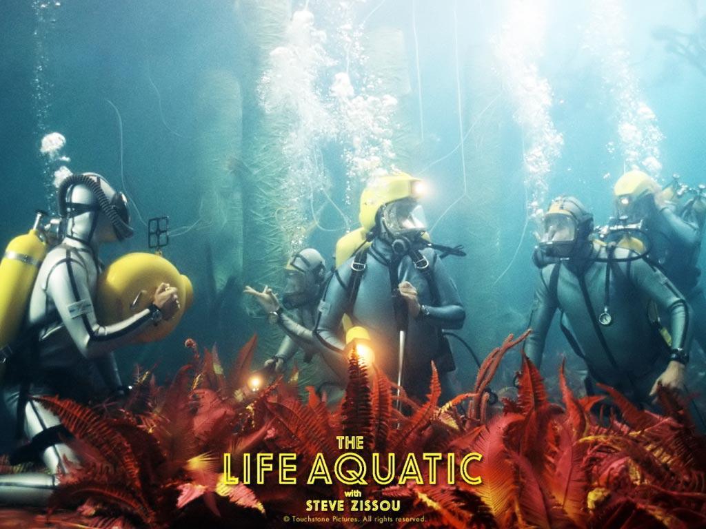 Desktop Wallpaper · Gallery · Movies & TV · The Life Aquatic