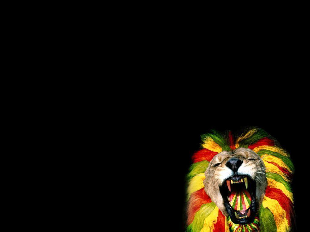 Reggae Lion Wallpaper. Reggae Lion Desktop Background