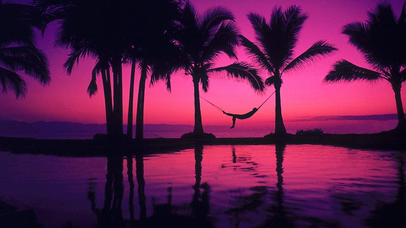 Palm tree sunset 2 10 1366x768 Download Wallpaper 1366x768. Hot
