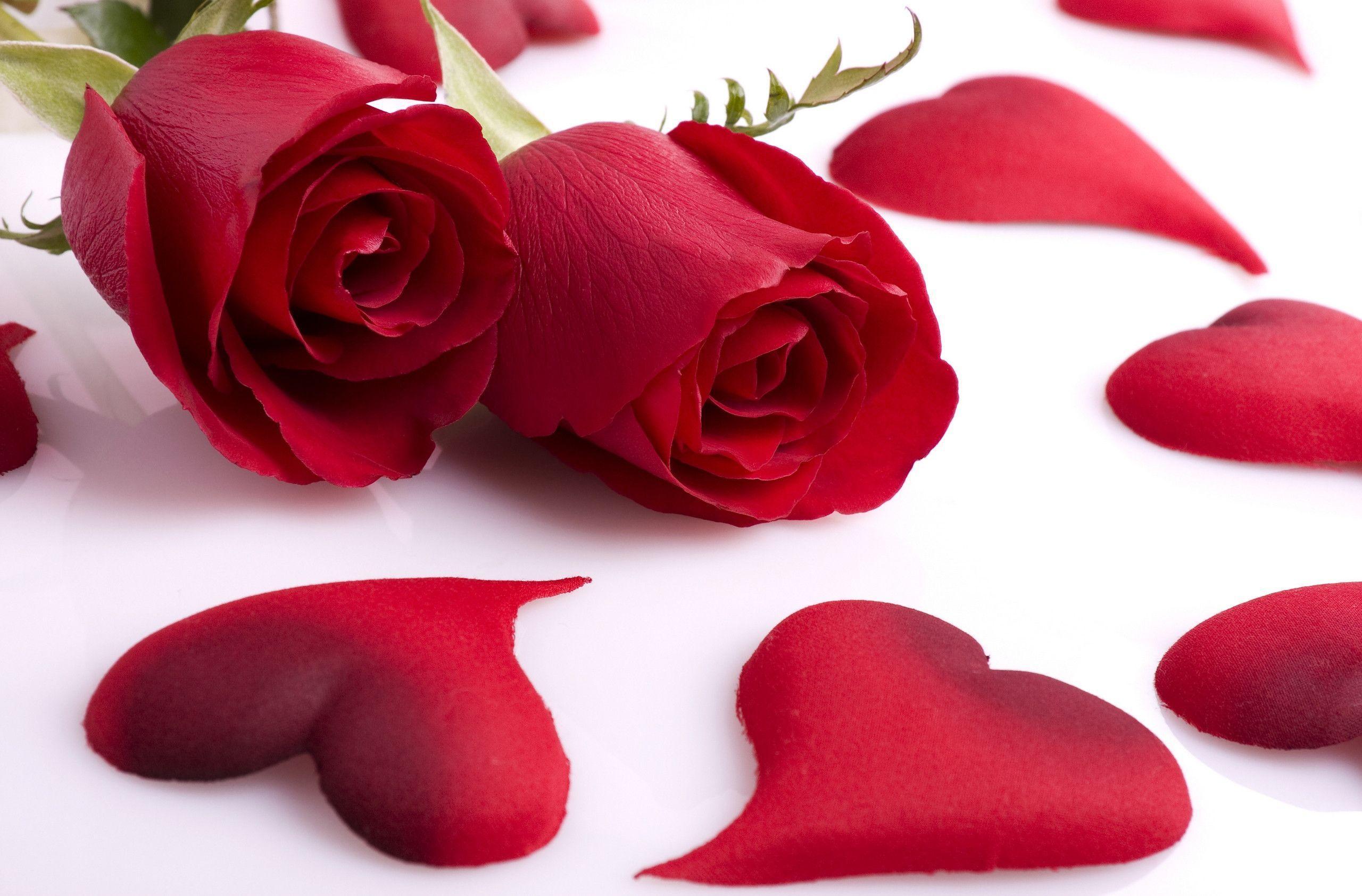 Red Rose Love Heart Shaped Petal HD Wallpaper. TanukinoSippo
