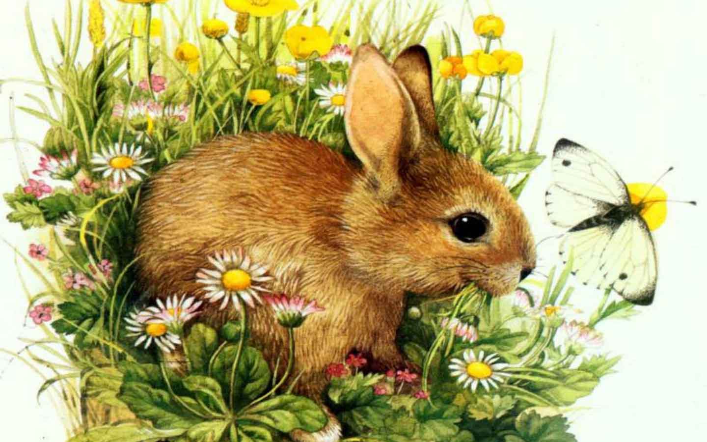 Free Wallpaper easter bunny picture wallpaper