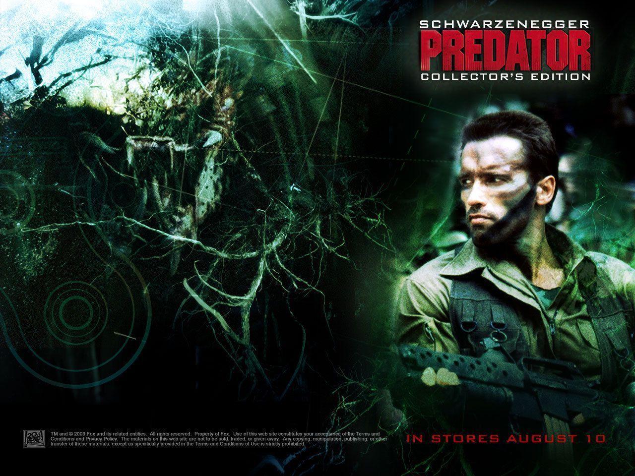Predator Movies Wallpaper