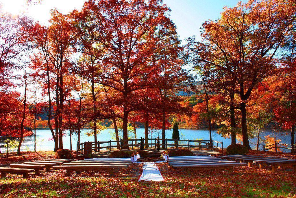 Autumn Background 27 Widescreen Background And Wallpaper Home