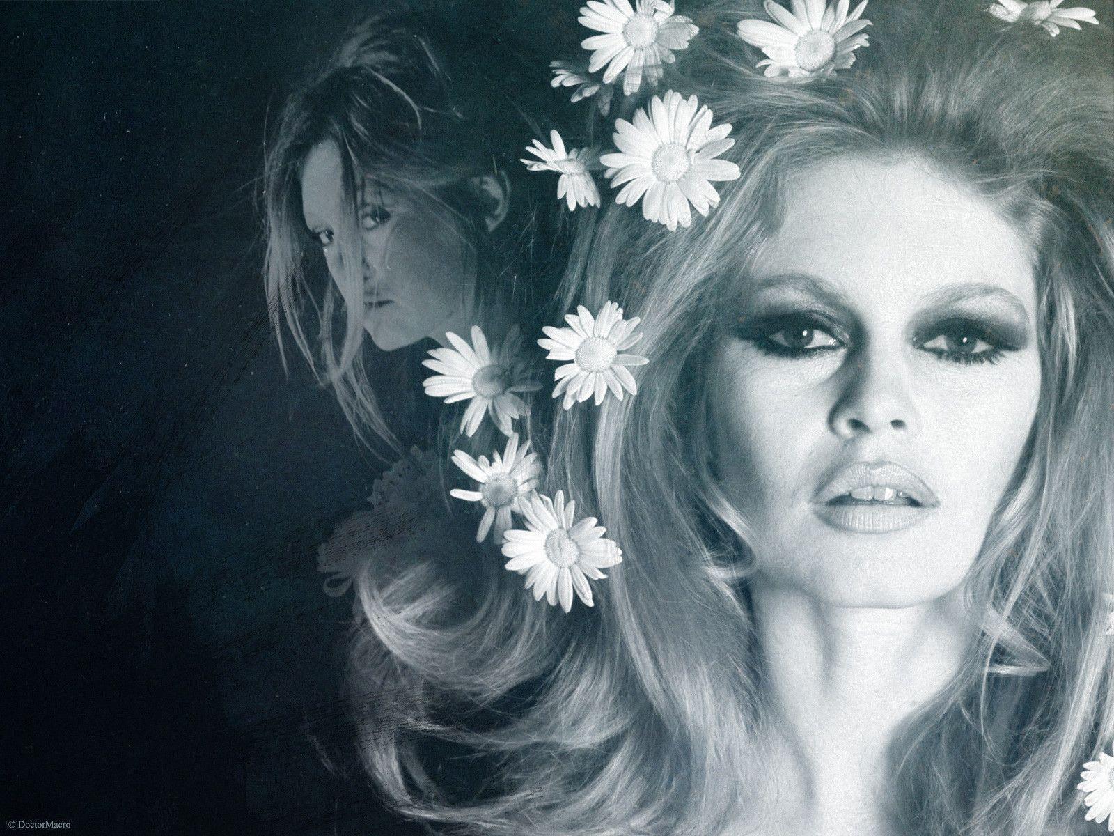 Brigitte Bardot Wallpapers Wallpaper Cave 