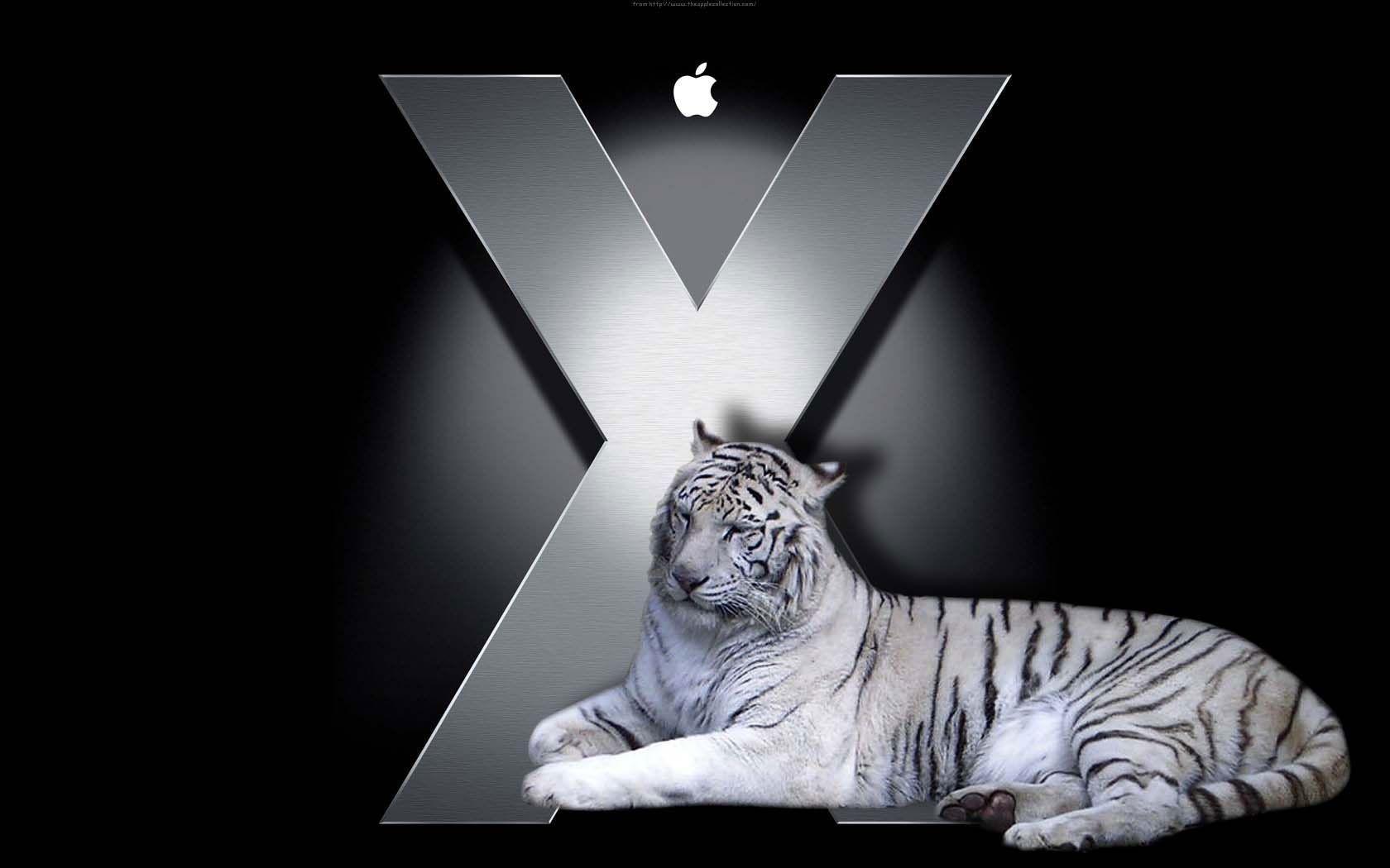 White Tiger X Mac Apple Technology HD wallpaper #