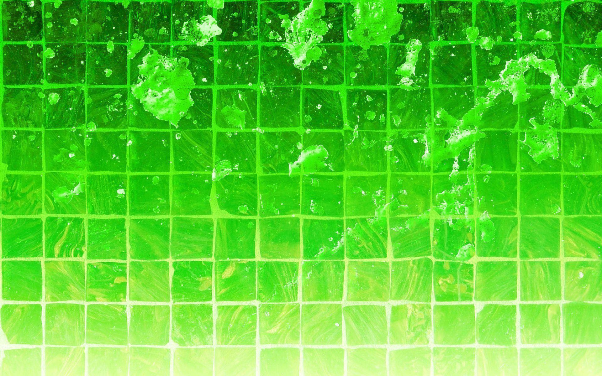Green Garden HD Wallpaper Wallpaper. Green HD Wallpaper