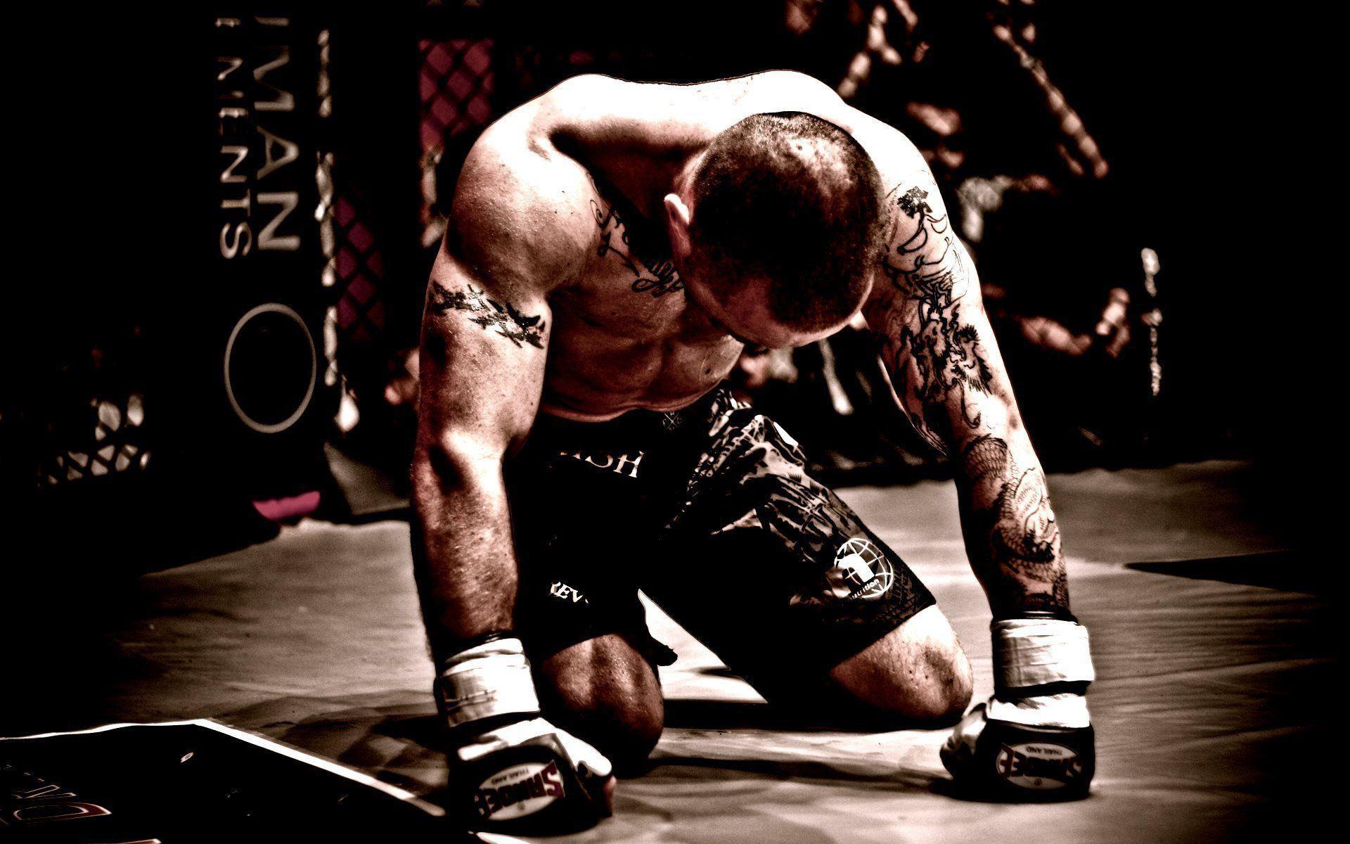 MMA Fighter Wallpapers - Wallpaper Cave