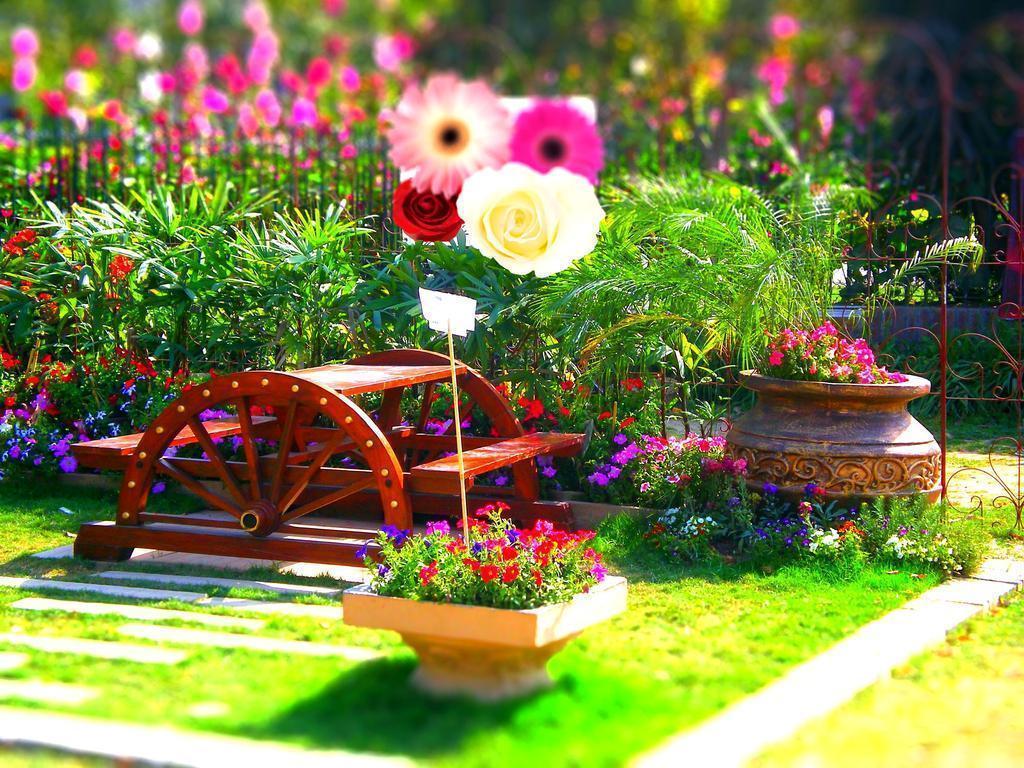 Desktop WallpaperFlowers Wallpaper: Awesome Flower Wallpaper